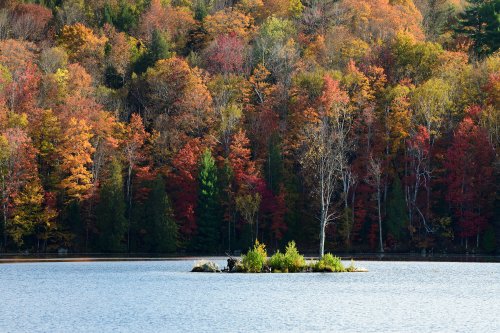 Kent Pond (Vermont, USA) - Lac avec île et arbres aux feuillages d'automne en fond(VO-19-2057)