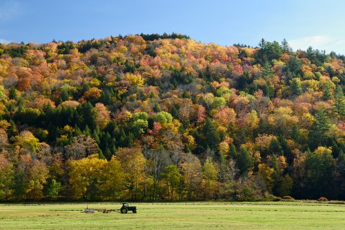 Vermont (USA) - Tracteur dans un champ avec érables aux feuillages multicolores en arrière plan(VO-19-2066)