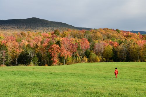 Appalachian Gap (Vermont, USA) - Personnage en rouge dans un pré très vert avec arbres colorés en arrière plan (VO-19-2143)