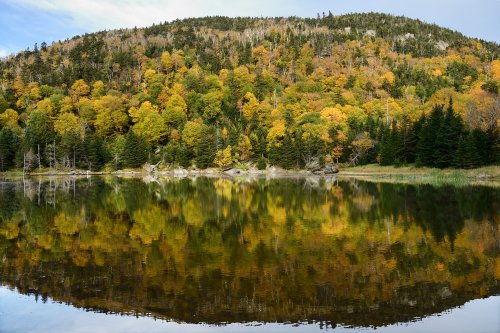 Appalachian Gap (Vermont, USA) - Lac avec réflexion de la montagne couverte d'arbres jaunes et verts (VO-19-2156)