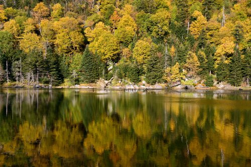 Appalachian Gap (Vermont, USA) - Lac avec réflexion d'arbres jaunes et verts (sans ciel)(VO-19-2182)