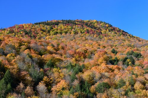 Stowes Mountain (Vermont, USA) - Montagne couverte d'érables multicolores(VO-19-2210)