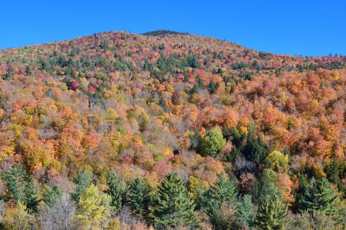 Stowes Mountain (Vermont, USA) - Montagne couverte d'érables multicolores(VO-19-2218)