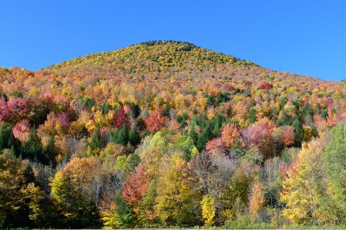 Stowes Mountain (Vermont, USA) - Montagne couverte d'érables multicolores(VO-19-2227)