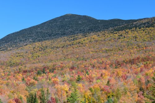 Lincoln Mountains (Vermont USA) - Érables avec feuillages multicolores au pied d'un montagne avec sapins verts(VO-19-2271)