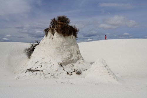 White Sands National Park (Nouveau Mexique, USA) - Monticule de gypse avec arbuste à son sommet, au milieu des dunes de sable blanc (VO-20-0364)