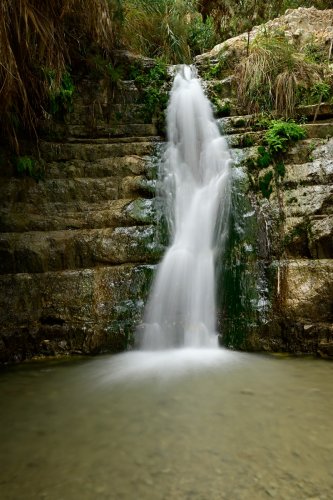 Réserve naturelle d'Ein Gedi (Israël) - cascade dans le Wadi David (effet de filé de l'eau)(VO-23-0025)