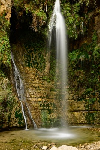 Réserve naturelle d'Ein Gedi (Israël) - Wadi David : cascade finale du parcours touristique(VO-23-0034)