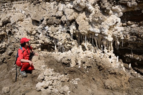 Mer Morte (Israël) - Concrétions de sel sur le rivage vers Ein Gedi(VO-23-0117)
