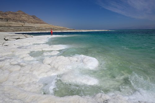 Mer Morte (Israël) - Rivage de la Mer Morte vers Ein Gedi avec montagnes en fond(VO-23-0130)