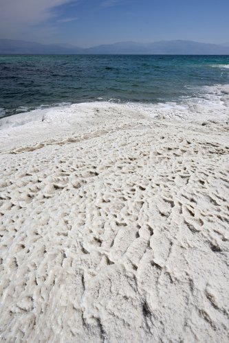 Mer Morte (Israël) - Gours de sel sur le rivage de la Mer Morte (VO-23-0135)