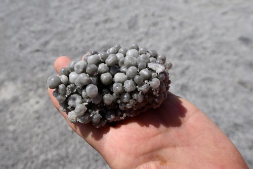 Mer Morte (Israël) - Perles de sel agglomérées sur le rivage de la Mer Morte vers Ein Gedi (VO-23-0142)