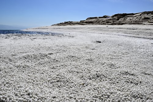 Mer Morte (Israël) - Plage recouverte de petites perles de sel sur le rivage de la Mer Morte (VO-23-0144)
