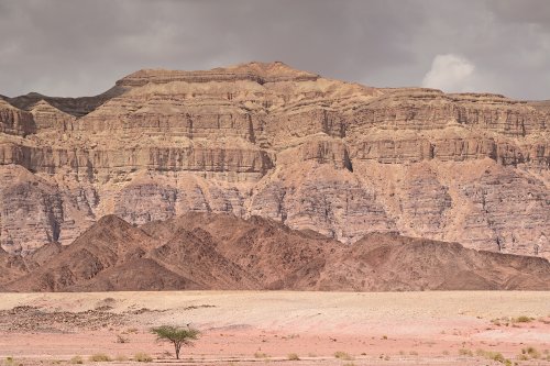 Parc national de Timna (Israël) - Falaises de Timna (Timna cliff) avec plaine colorée en premier plan(VO-23-0248)