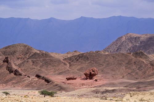 Parc national de Timna (Israël) - Relief de roches rouges avec un champignon et montagne de Jordanie en arrière plan(VO-23-0264)