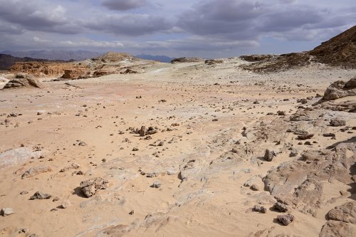 Parc national de Timna (Israël) - Etendue désertique caillouteuse(VO-23-0280)