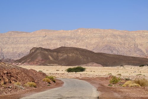 Parc national de Timna (Israël) - Route dans la parc vers les falaises de Timna (Timna cliff)(VO-23-0296)