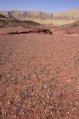 Parc national de Timna (Israël) - Observation point : tapis de galets sur des grès rouges (VO-23-0326)