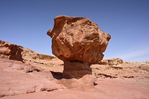 Parc national de Timna (Israël) - "The Mushroom", champignon de grès emblème du Parc(VO-23-0328)