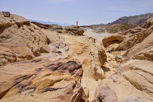Parc national de Timna (Israël) - Paysage de grès colorés érodés avec personnage perché en fond(VO-23-0356)