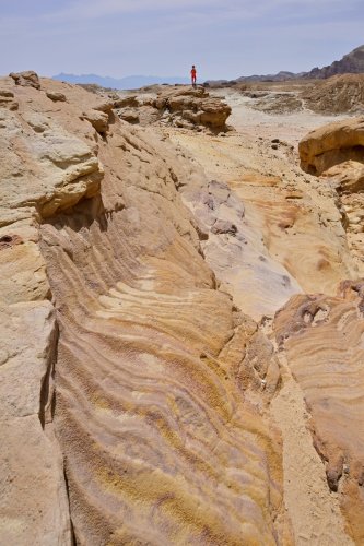 Parc national de Timna (Israël) - Détail de grès colorés(VO-23-0359)