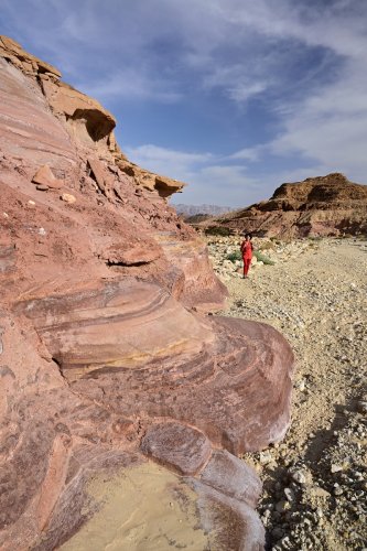 Parc national de Timna (Israël) - "Pink Canyon" avec parois de grès roses  (VO-23-0363)