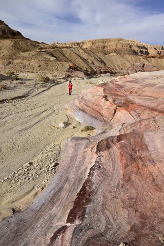 Parc national de Timna (Israël) - "Pink Canyon"(VO-23-0374)