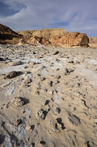 Parc national de Timna (Israël) - Etendue désertique caillouteuse et sableuse(VO-23-0385)