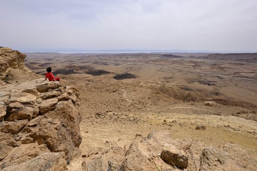 Réserve naturelle de Maktesh Ramon (Israël) - Vue du cratère d'érosion depuis les falaises de Mitze Ramon (VO-23-0419)