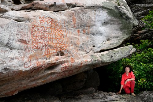 Monte Alegre (Pará, Brésil) -  Panneau de peintures préhistoriques  sur un rocher du  Parque Estudeal de Monte Alegre (VO-23-0926)