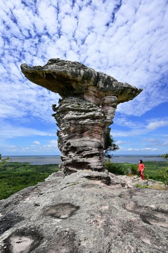 Monte Alegre (Pará, Brésil) - Grand rocher de grès dans le Parque Estudeal de Monte Alegre (verticale)(VO-23-0944)