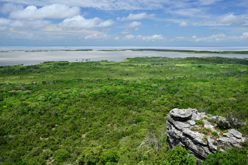 Monte Alegre (Pará, Brésil) - Vue sur le fleuve Amazone et la forêt depuis les hauteurs du Parque Estudeal de Monte Alegre(VO-23-0949)