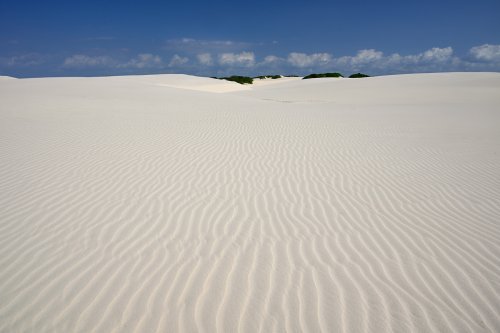 Lençois de Maranhenses (Maranhao, Brésil) - Dune de sable blanc avec rides(VO-23-1150)