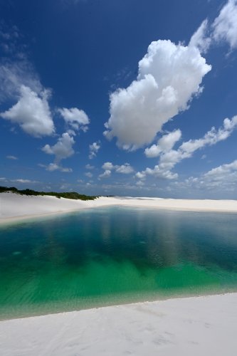 Lençois de Maranhenses (Maranhao, Brésil) - Lagoa Bonita : lac d'eau verte au milieu de dunes de sable blanc(VO-23-1263)