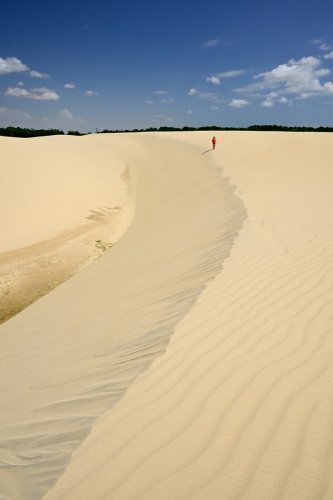 Lençois de Maranhenses (Maranhao, Brésil) - Personnage sur dune de sable jaune au bord du Rio Preguiças  (VO-23-1410)