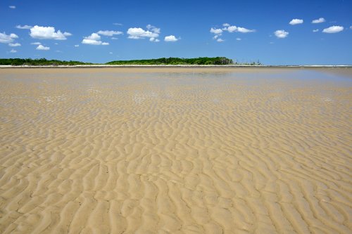 Delta de Paranaiba (Maranhao, Brésil) - Plage de sable jaune avec rides (VO-23-1469)