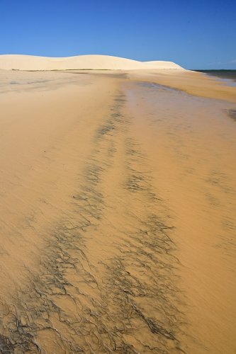 Delta de Paranaiba (Maranhao, Brésil) - Plage de sable du Pontal das Malencieras(VO-23-1509)