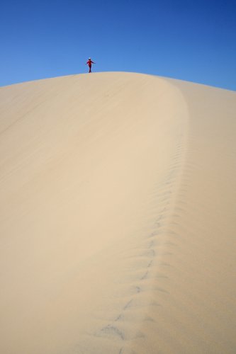 Delta de Paranaiba (Maranhao, Brésil) - Pontal das Malencieras : personnage en équilibre en haut d'une dune (verticale)(VO-23-1523)