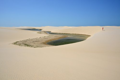 Delta de Paranaiba (Maranhao, Brésil) - Pontal das Malencieras : lac d'eaux vertes au milieu de dunes jaunes (personnage en haut à droite)(VO-23-1528)