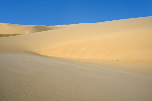 Delta de Paranaiba (Maranhao, Brésil) - Pontal das Malencieras : dunes de sable jaune(VO-23-1549)