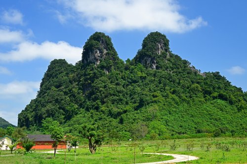 Parc National de Phong Nha-Ke Bang (Vietnam) -  Montagne karstique au relief caractéristique de "mogote" .(VO-25-0052)