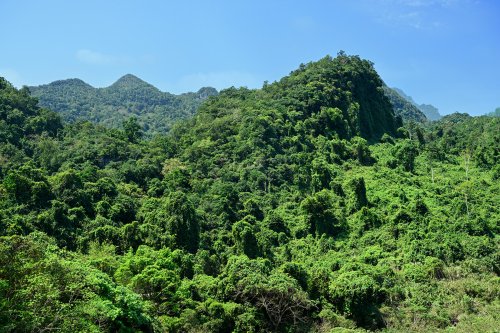 Parc National de Phong Nha-Ke Bang (Vietnam) - Montagnes karstiques couvertes d'une jungle dense.(VO-25-0073)