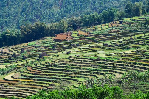 Pu Luong (Vietnam) -  Versant de montagne couvert de rizières en terrasse (sans ciel)(VO-25-0159)