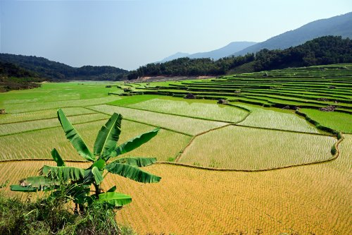 C’est au cours de notre voyage en Nouvelle-Zélande en décembre 2024 qu’est née l’idée d’aller au Vietnam. Snablet, spéléo de Nelson  nous a parlé de ses nombreuses expéditions au Vietnam et nous a recommandé cette destination. Il nous a  donné le  contact de l'agence Oxalis, qui organise des "trips aventure" dans les cavités de la région de Phong Nha. C'est ainsi qu'après dix jours passé à faire des photos dans les grottes de la région, nous en avons profité pour faire un peu de tourisme, notamment des sites karstiques réputés comme la baie d’Halong ou Ninh Binh. Comme la location de voiture n’est pas possible au Vietnam, nous avons contacté une agence de voyage (Vietnam Evasion) pour nous fournir guide et chauffeur. Nous avons hélas été confrontés à plusieurs problèmes : un mauvais temps persistant, à l'exception de deux jours sur les rizières de Pu Luong, et la contrainte d'être avec une agence qui n'a pas pris en compte nos désiderata photographiques.   
 