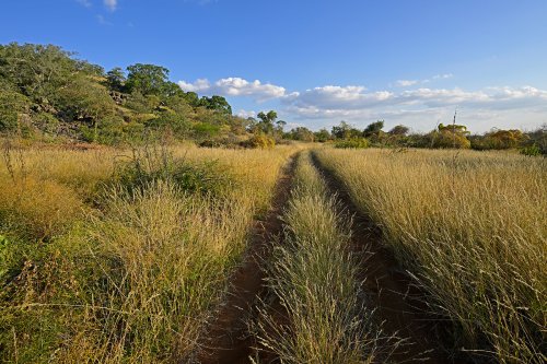 Aha Hills, région de l'Okavango (Botswana) - Piste menant à Gcwihaba cave(VO-25-0570.)