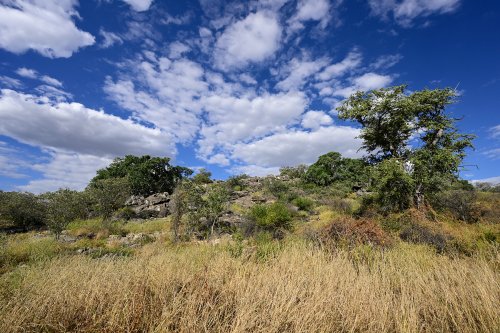 Aha Hills, région de l'Okavango (Botswana) - Colline de calcaire dolomitique dans le secteur de Gcwihaba(VO-25-0571)