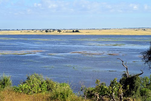 Chobe National Park (Botswana) - Rivière Chobe à la frontière Namibienne(VO-25-0761)