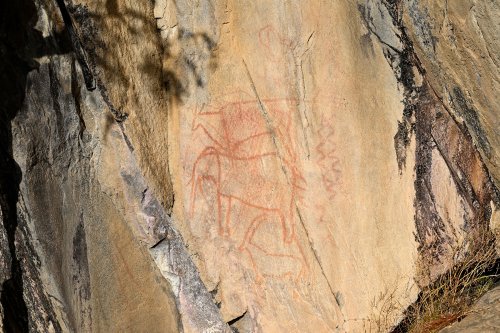 Chobe National Park (Botswana) - Peintures rupestres dans le secteur de Savuti(VO-25-0803)