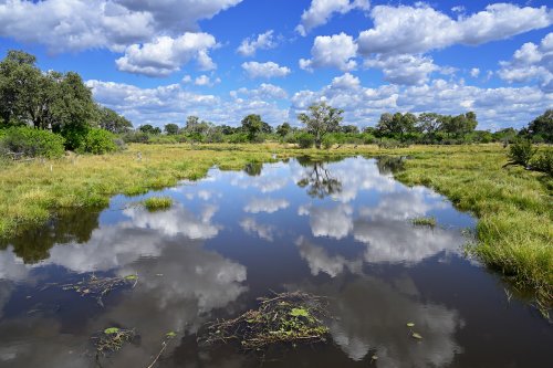 Moremi Game Reserve (Botswana) - Rivière avec reflet du ciel nuageux dans le secteur de Khwai(VO-25-0826)