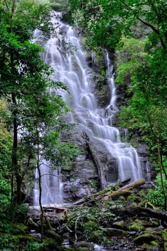 Parc national du Rincon de la Vieja (Alajuela, Costa Rica) - Cascade (Catarata Estacional)(VO-25-1127)